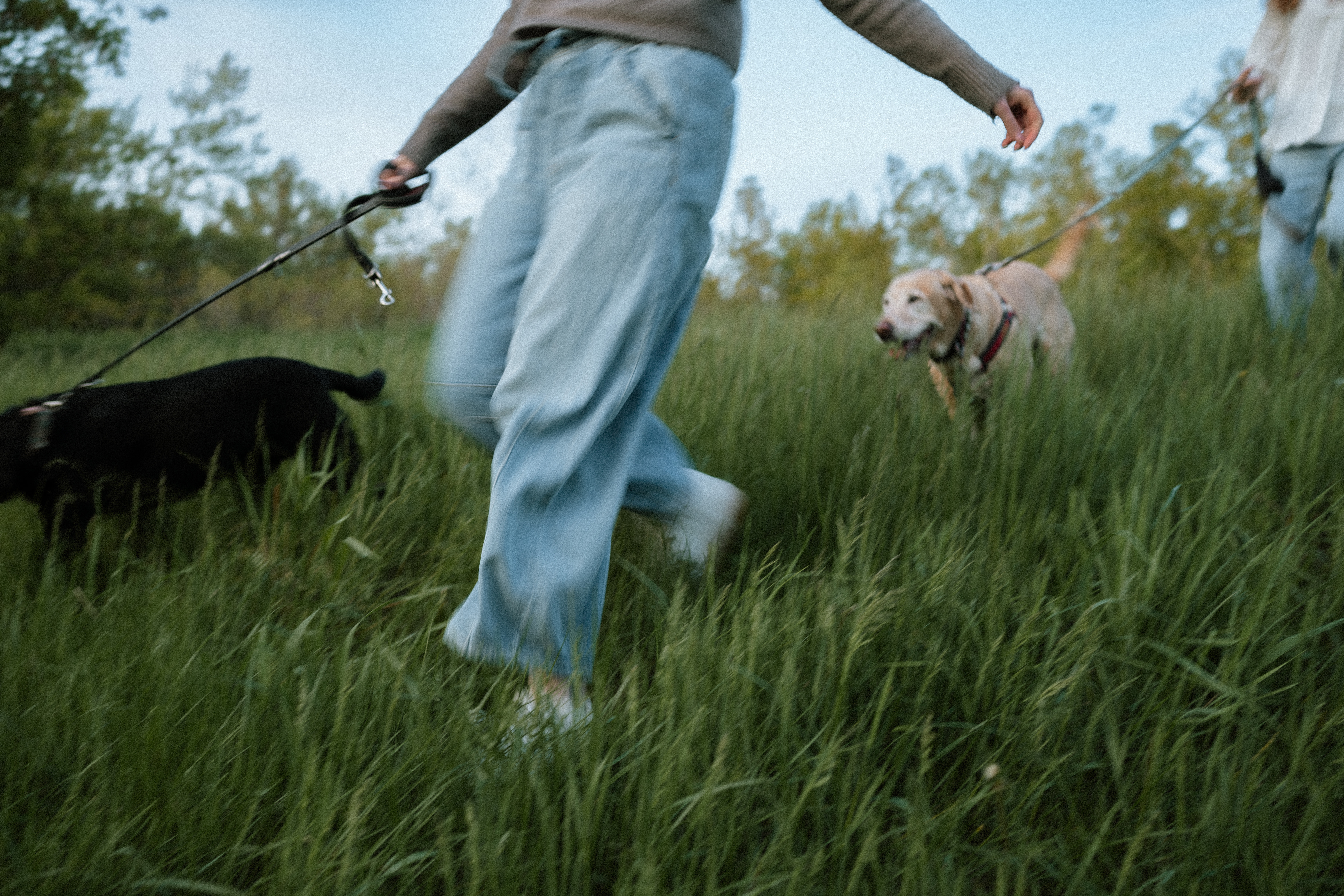 Lisa and Nicole walking with their dogs through tall grass in Ontario