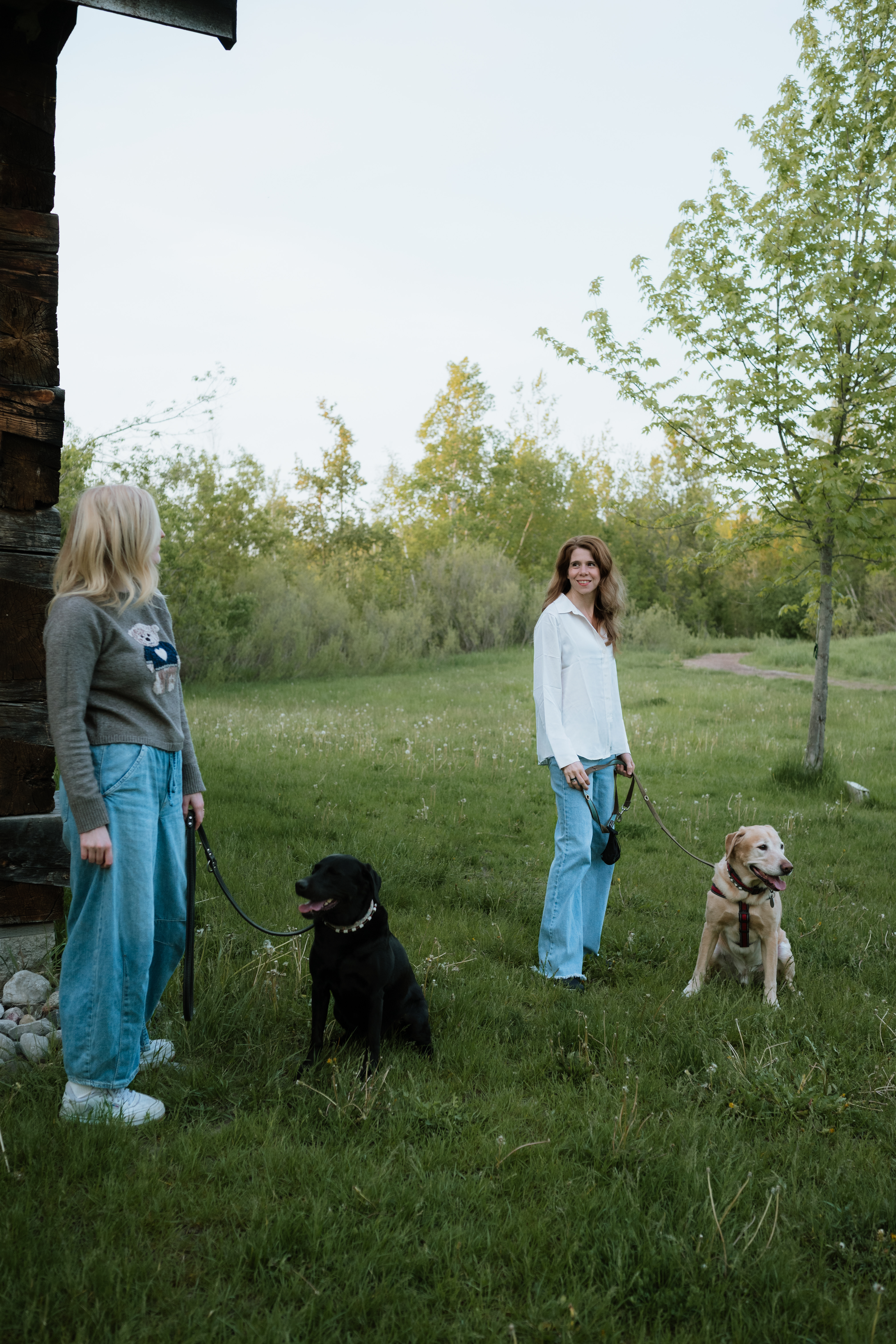 Canine Behaviour Consulting